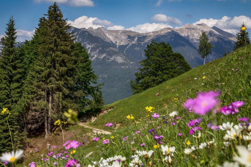 Fewo Lebensfreude Mittenwald Δωμάτιο φωτογραφία